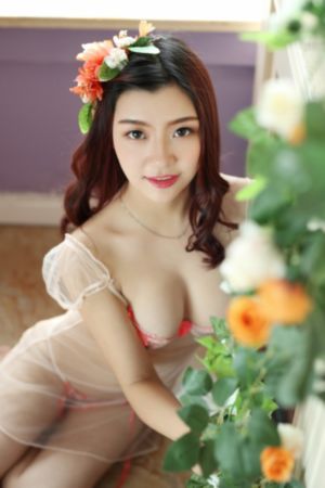 无遮无挡爽爽视频毛片_DVD高清免费观看